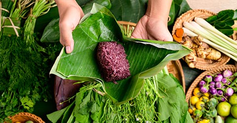 Diversity and Culture: The Missing Link Between Food and Health