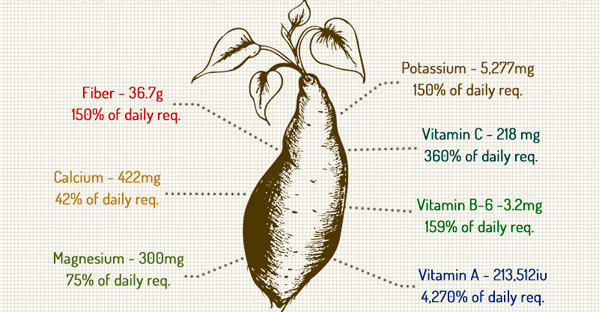 How sweet is a sweet potato