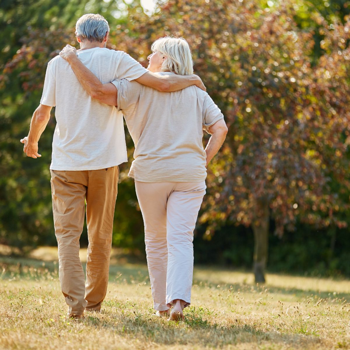 menopause diet