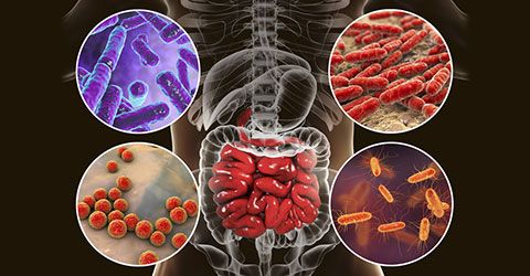 Why Your Microbiome May Be to Blame for Your Bloating - 5 Tips for Gut Balance
